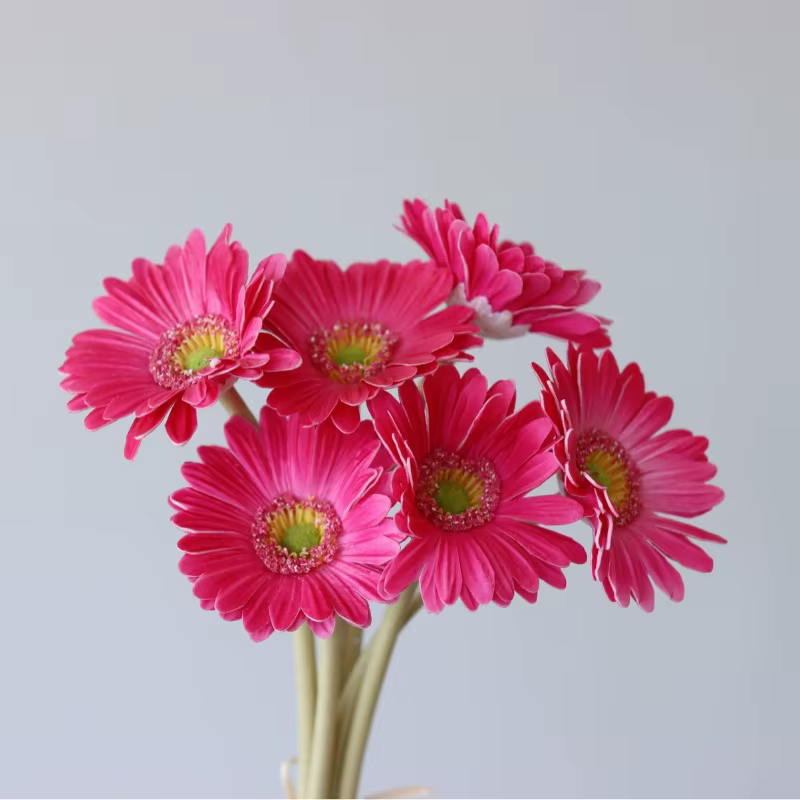 Lot de 2 Gerberas artificielles sans feuilles en PU bleu
