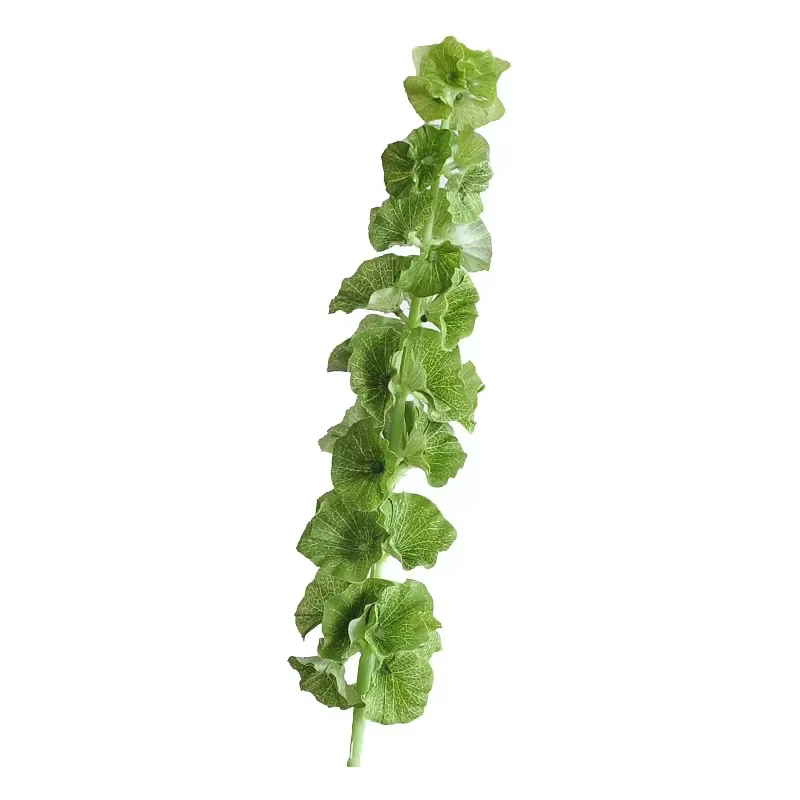 Fausses plantes vertes