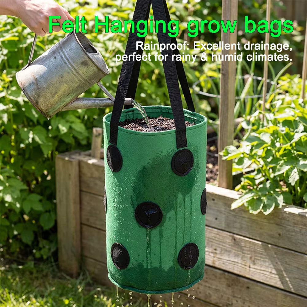 Sacs de culture suspendus pour fraises et tomates