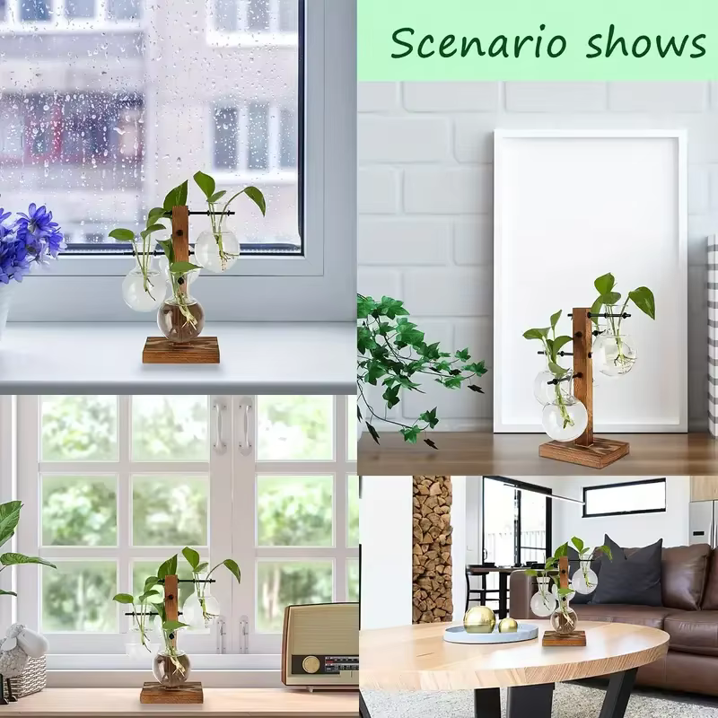 Vase en verre pour plantes hydroponiques