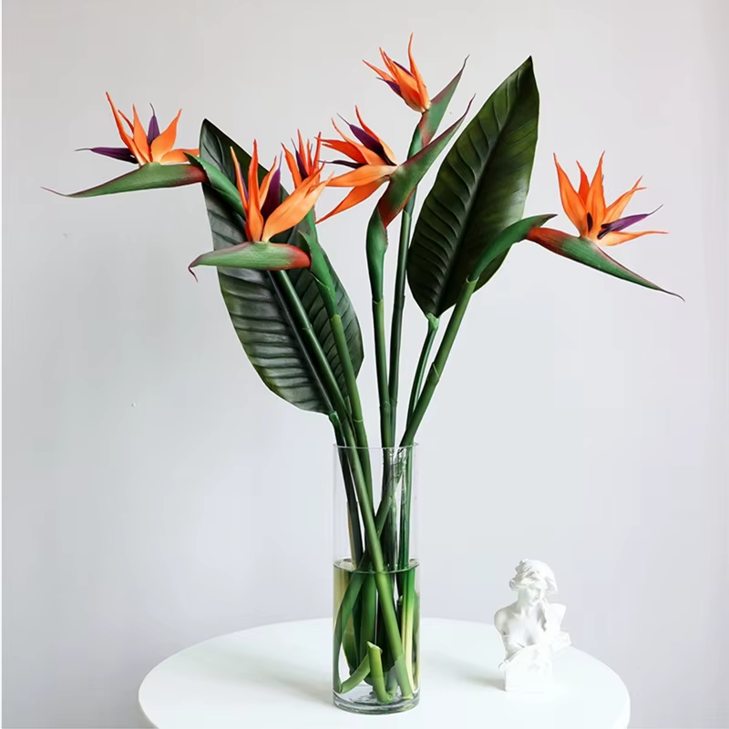 Grand oiseau de paradis