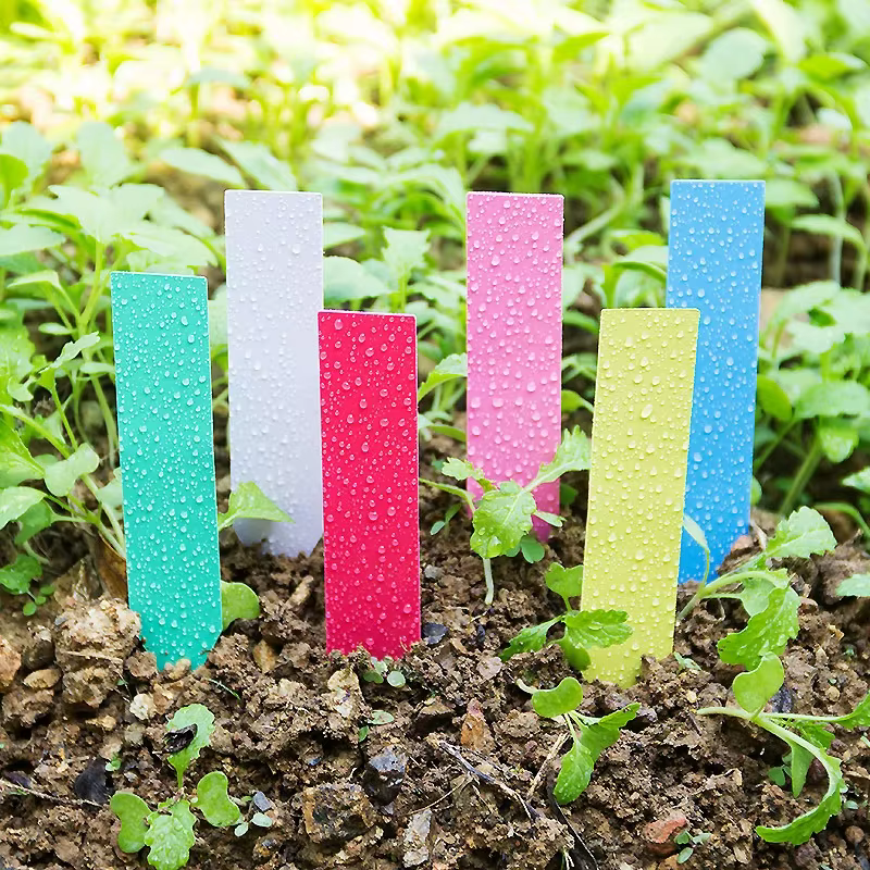 100 pièces étiquettes de plantes de jardin