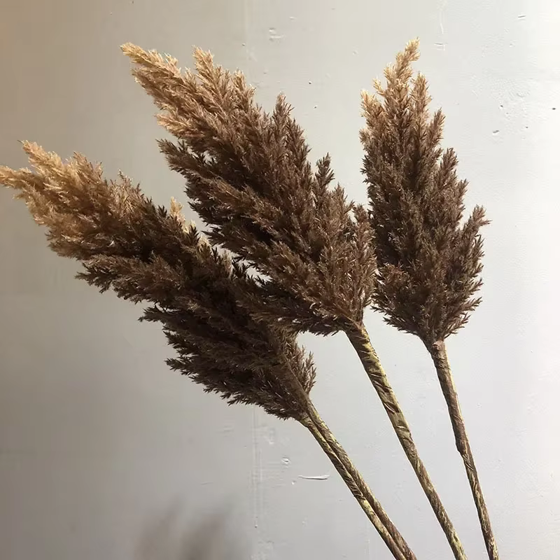 Ensemble de roseaux artificiels pour la décoration intérieure