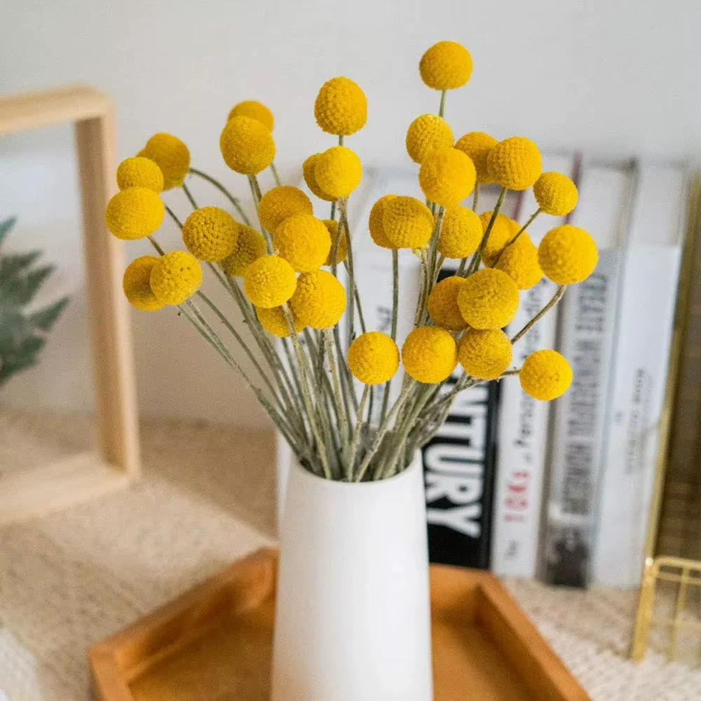 Bouquet de boules de boutons de Billy jaunes