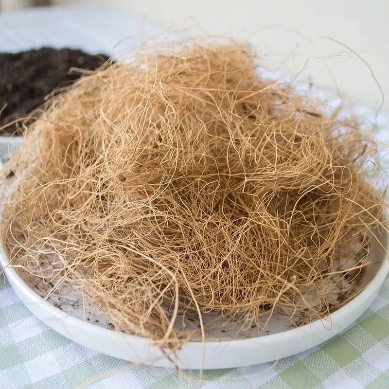 Couvercle de pot de fleurs en fibre de cosse AMP naturelle