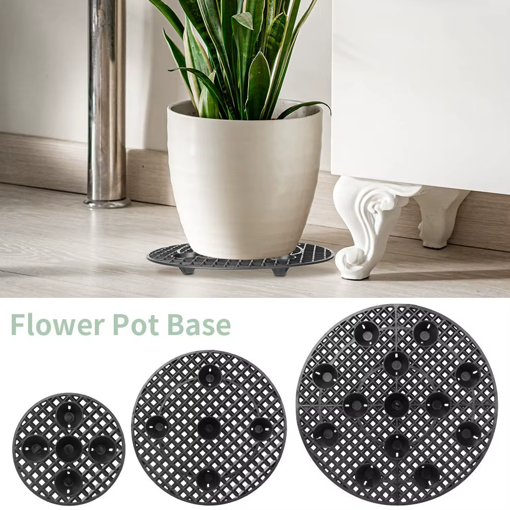 Socle de protection pour plantes