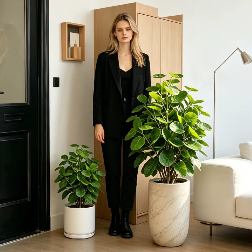 Plantes artificielles Ficus 45-95cm