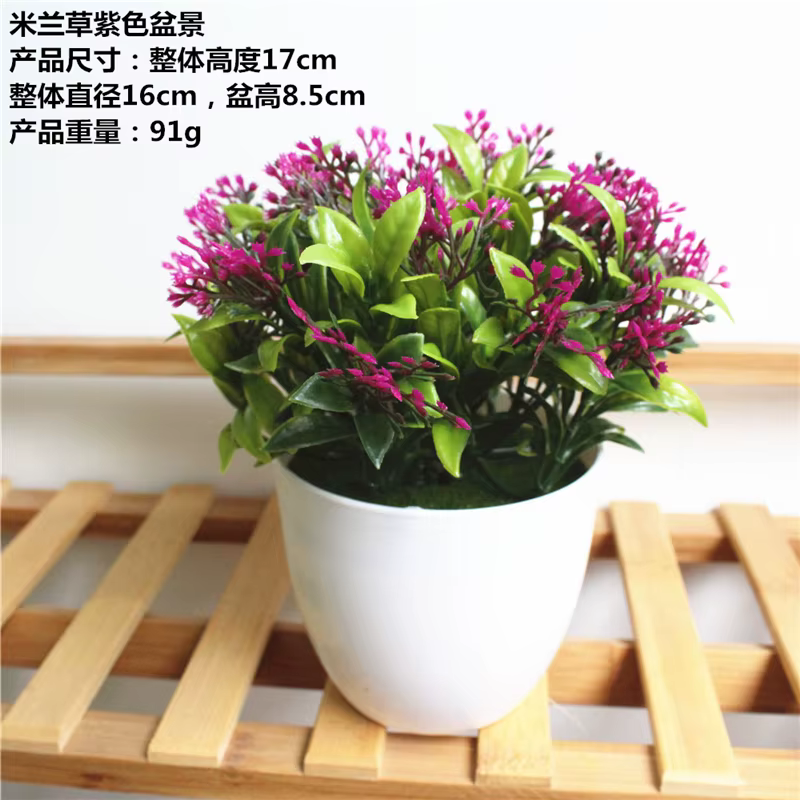 1 ensemble de plantes artificielles simulées succulentes herbe de Milan bonsaï en plastique blanc Pot de fleur accessoires de décoration pour la maison