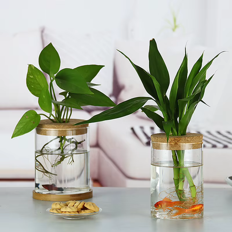 Pot de fleur hydroponique transparent