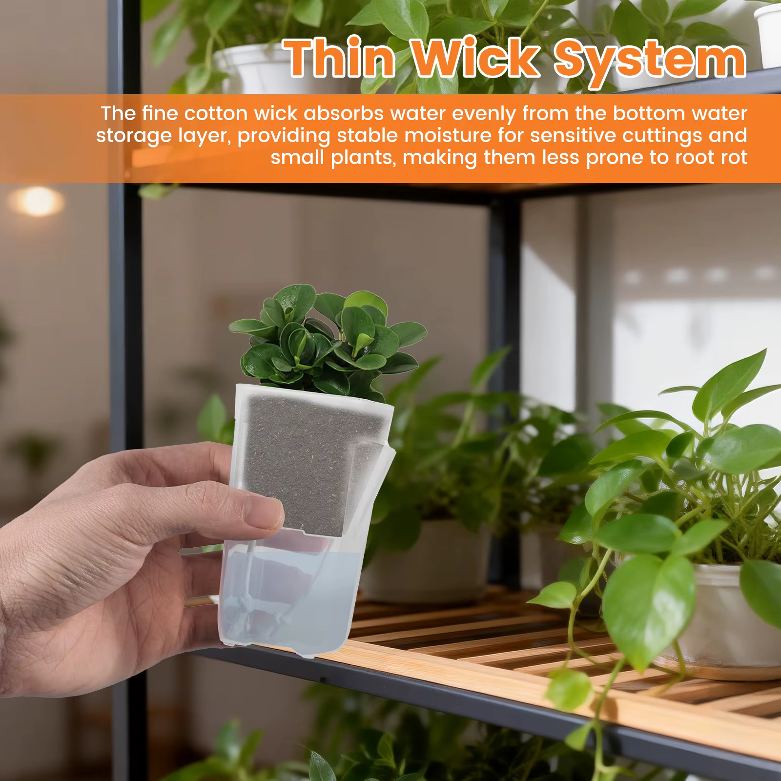12 pots de plantes auto-arrosants transparents à double couche en plastique avec trous de drainage et corde en coton