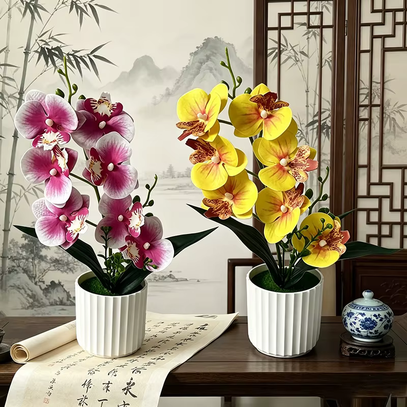 Orchidée Papillon à 7 Fleurs