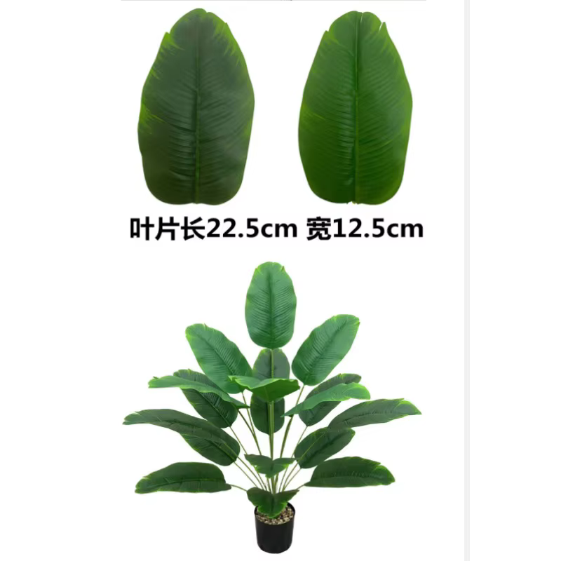 Plantes artificielles sans bassin