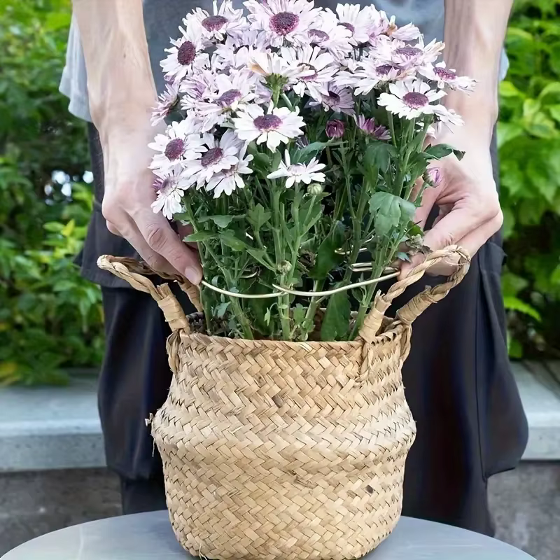 Grand support pour plantes suspendues