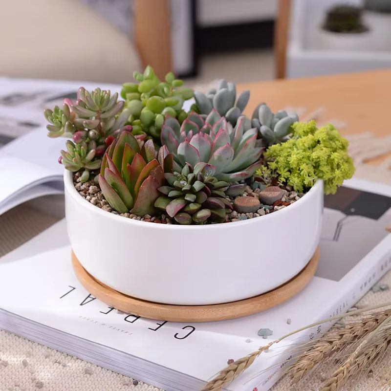 Pot de fleurs rond en céramique blanche