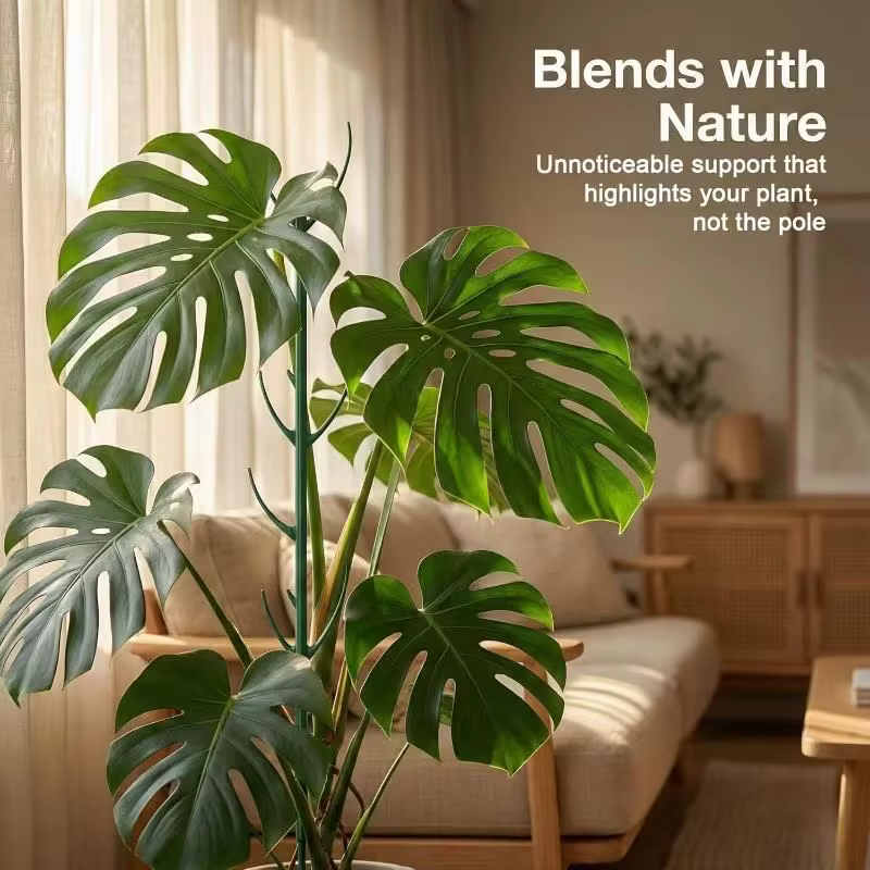 6 piquets de support pour plantes Monstera avec attaches – Conception de treillis empilable