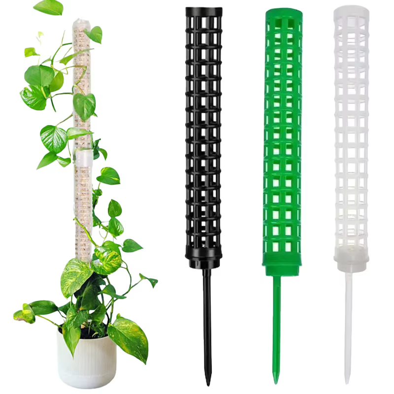 Colonne grimpante pour plantes