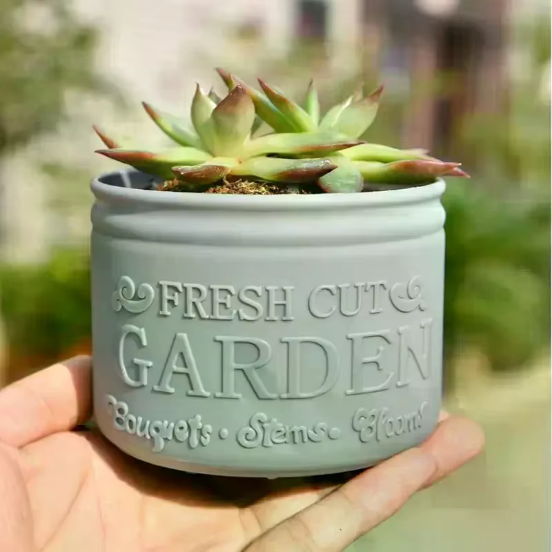 Pot de fleurs rond pour plantes succulentes