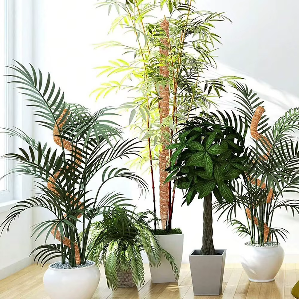 Poteau en mousse pour plantes