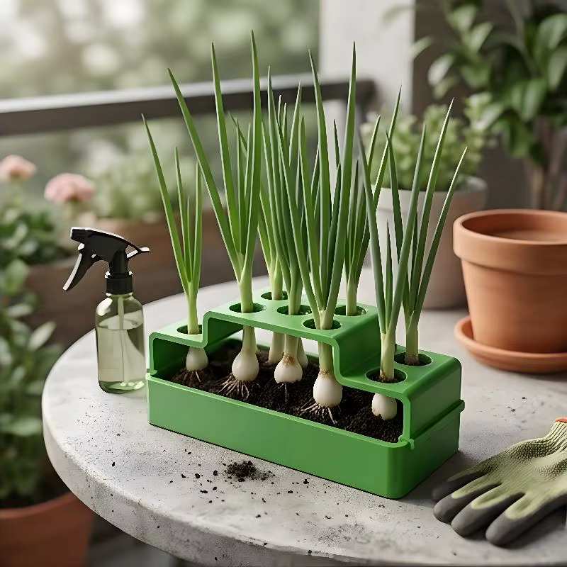 ☌ Un dispositif de plantation spécialement conçu pour les oignons verts, doté d'un système hydroponique permettant une croissance répétée