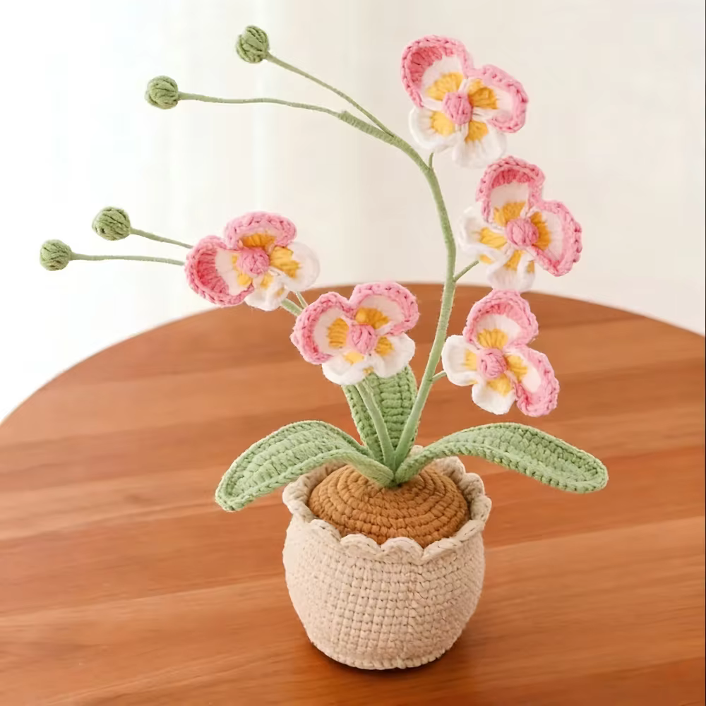 Nouvelle plante en pot de Phalaenopsis à 5 têtes