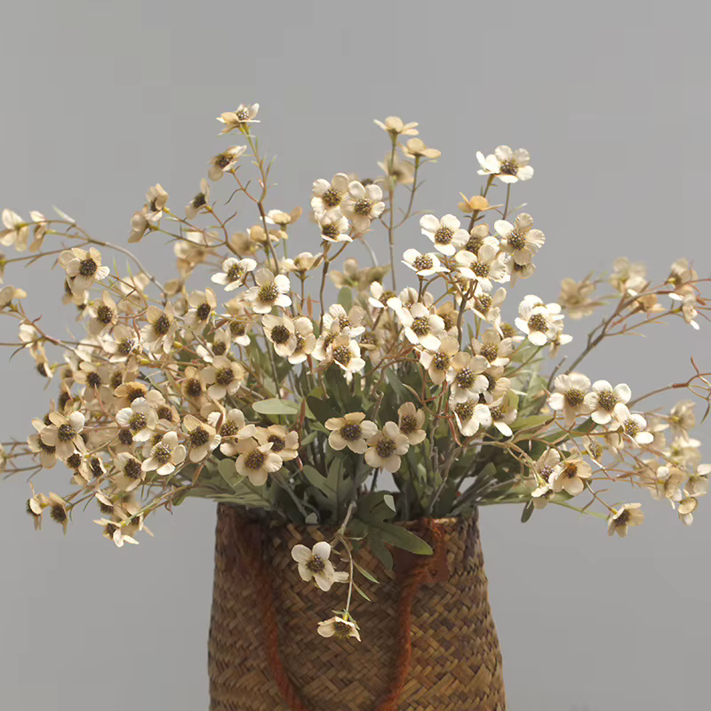 11 têtes automne couleur fleur de prunier
