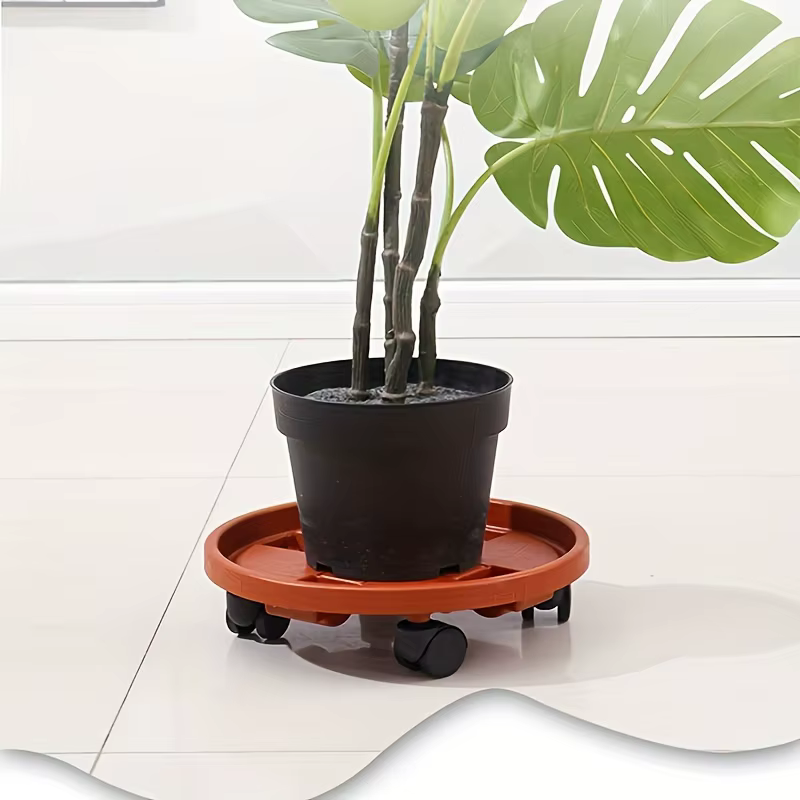 Support de plantes roulant avec plateau en résine amovible