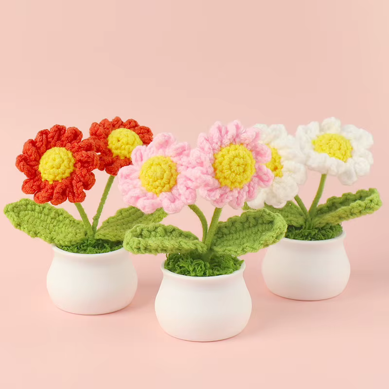 Mignon marguerite Crochet fleurs en pot tissé fleur créative