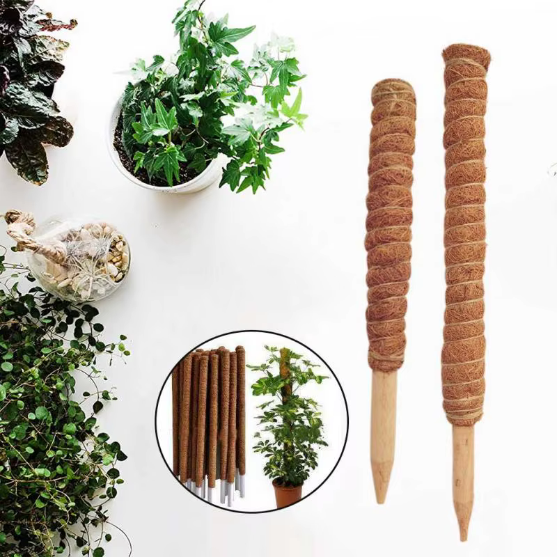 Poteau Totem en coco pour plantes grimpantes