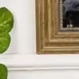 Plante artificielle fleur