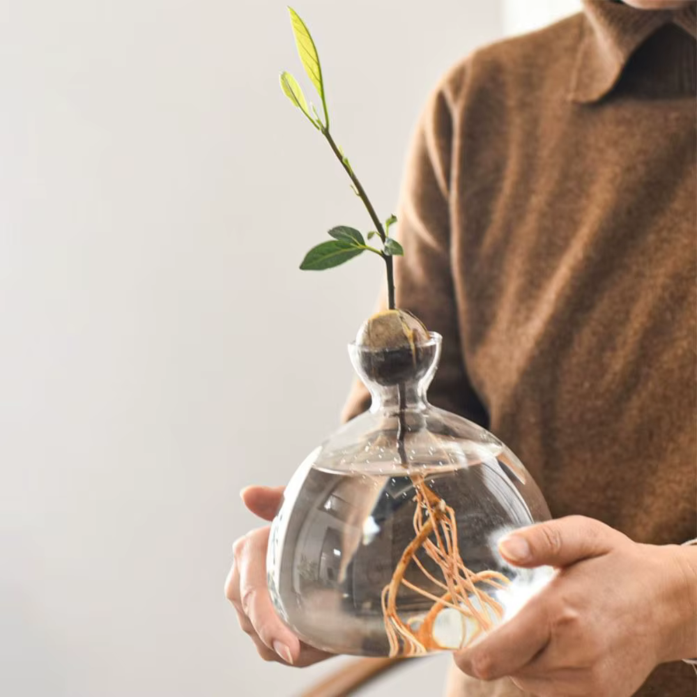 Kit de plantes en verre avec autocollants pour les amateurs de jardinage