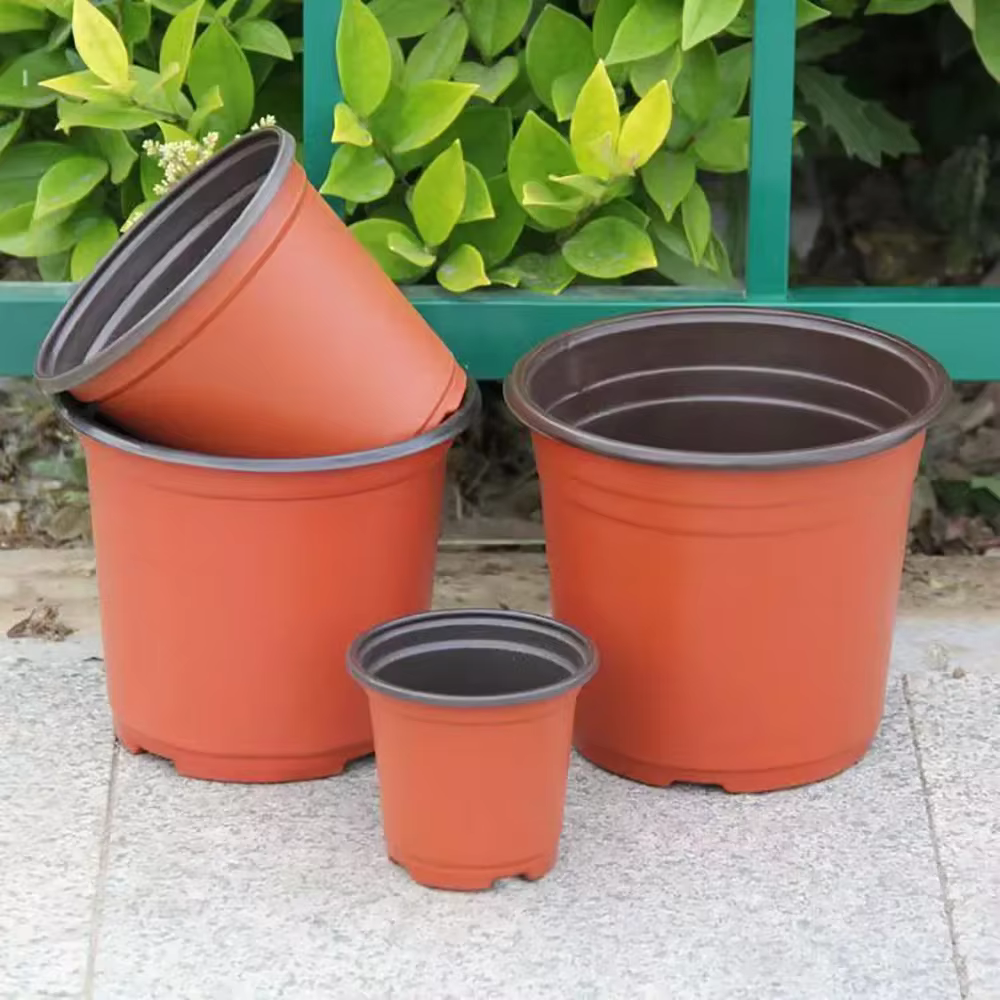 Pots de plantes en plastique avec étiquettes