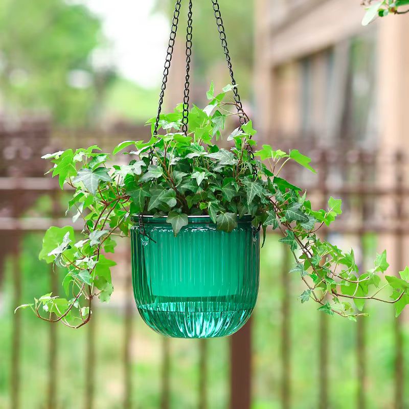 Panier suspendu Transparent