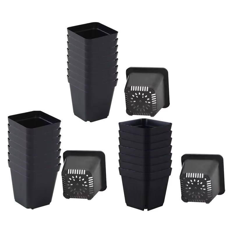 Pots de semis 50 pièces carrés plante semis-gobelet de plantation en plastique pépinière profonde arbre Pot fleur