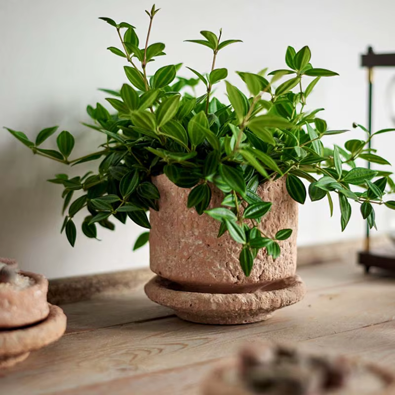 Petit pot de fleurs en céramique fait à la main