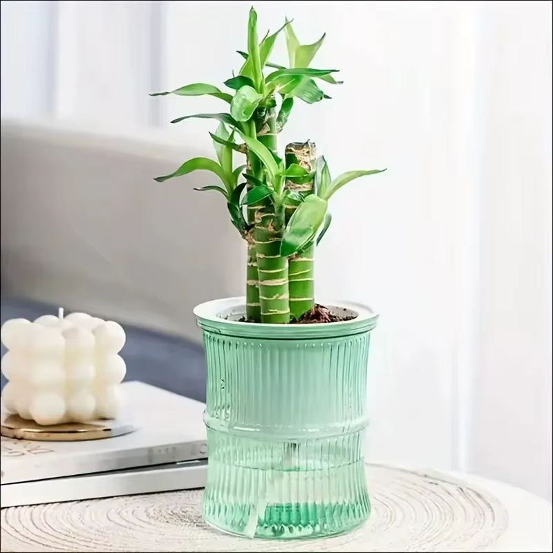 Pot de fleurs auto-arrosage automatique absorbant l'eau