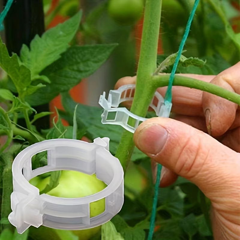 50 pièces - Tomates et plantes grimpantes - Outils durables et résistants aux intempéries pour l'entraînement et l'assistance.