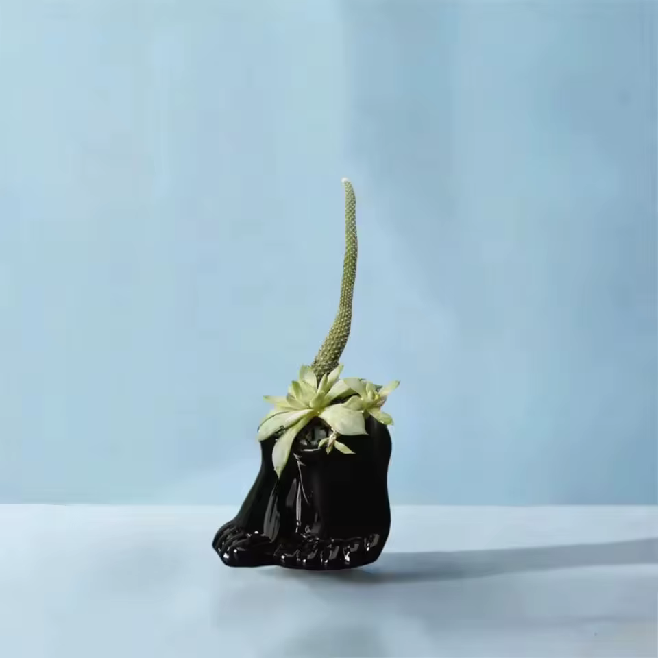 Pot de fleurs en céramique créatif en forme de pied
