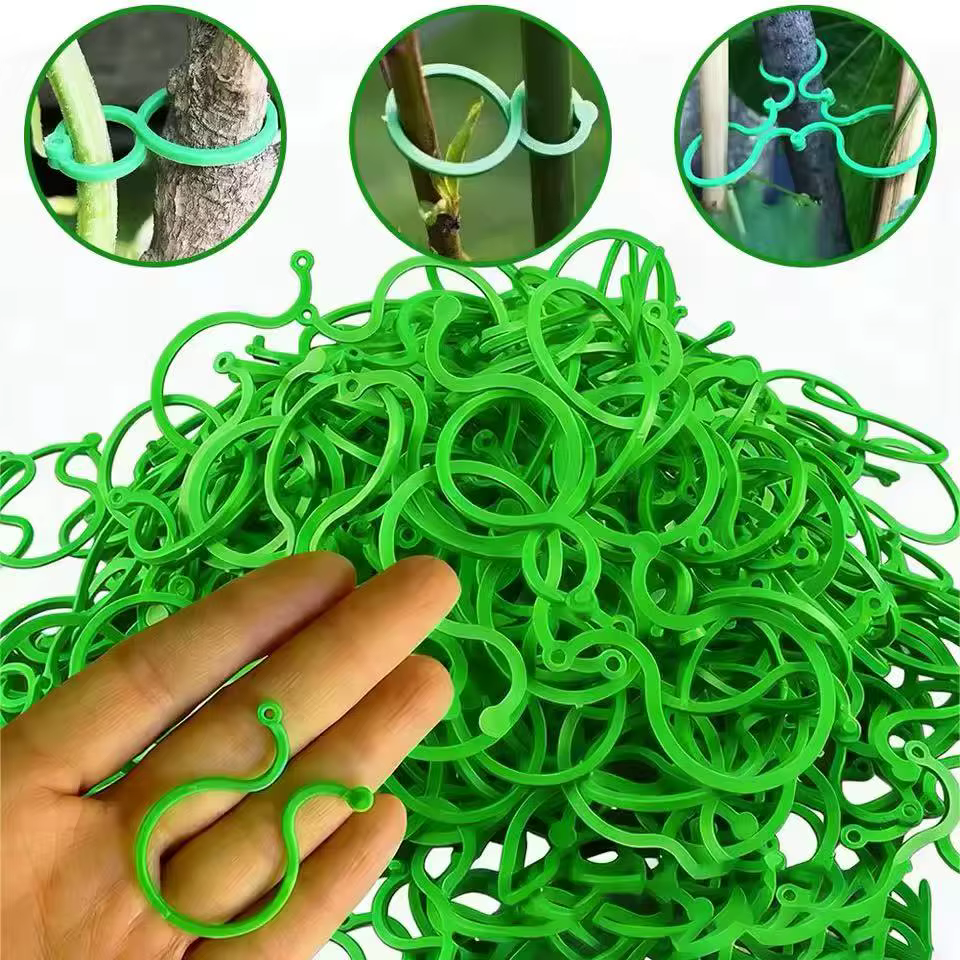 100 attaches pour plantes grimpantes