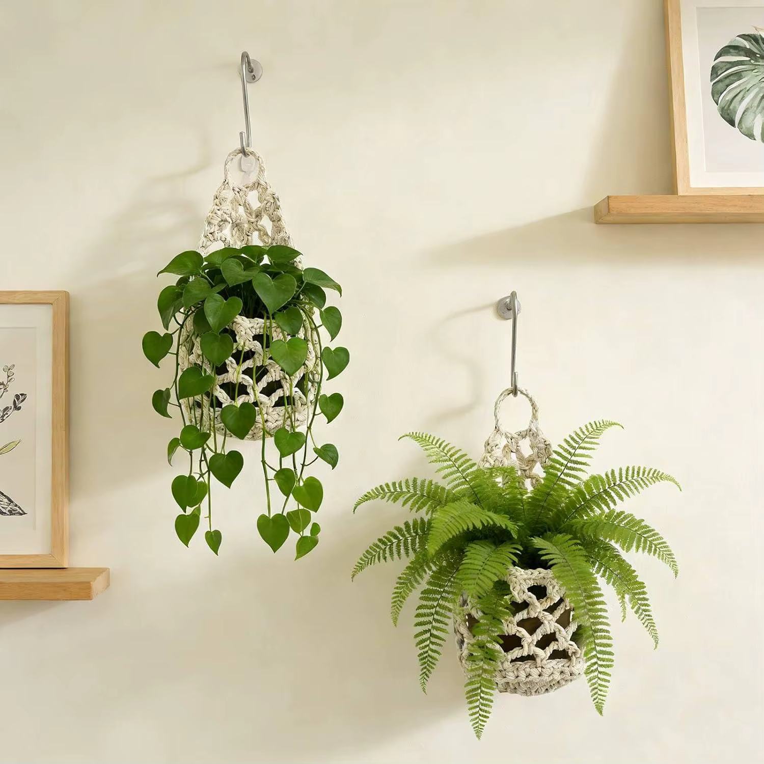 Support mural pour plantes