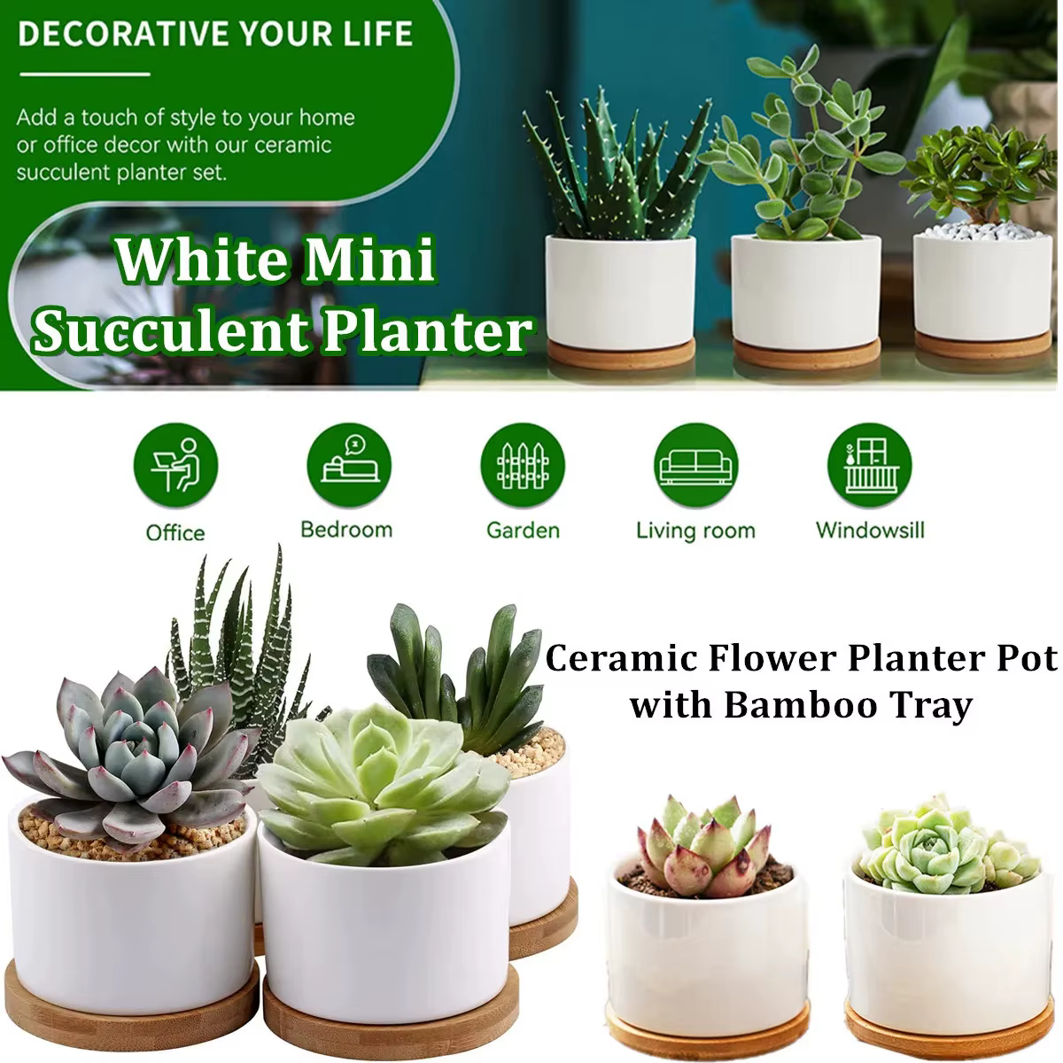 Jardinière succulente petit Pot