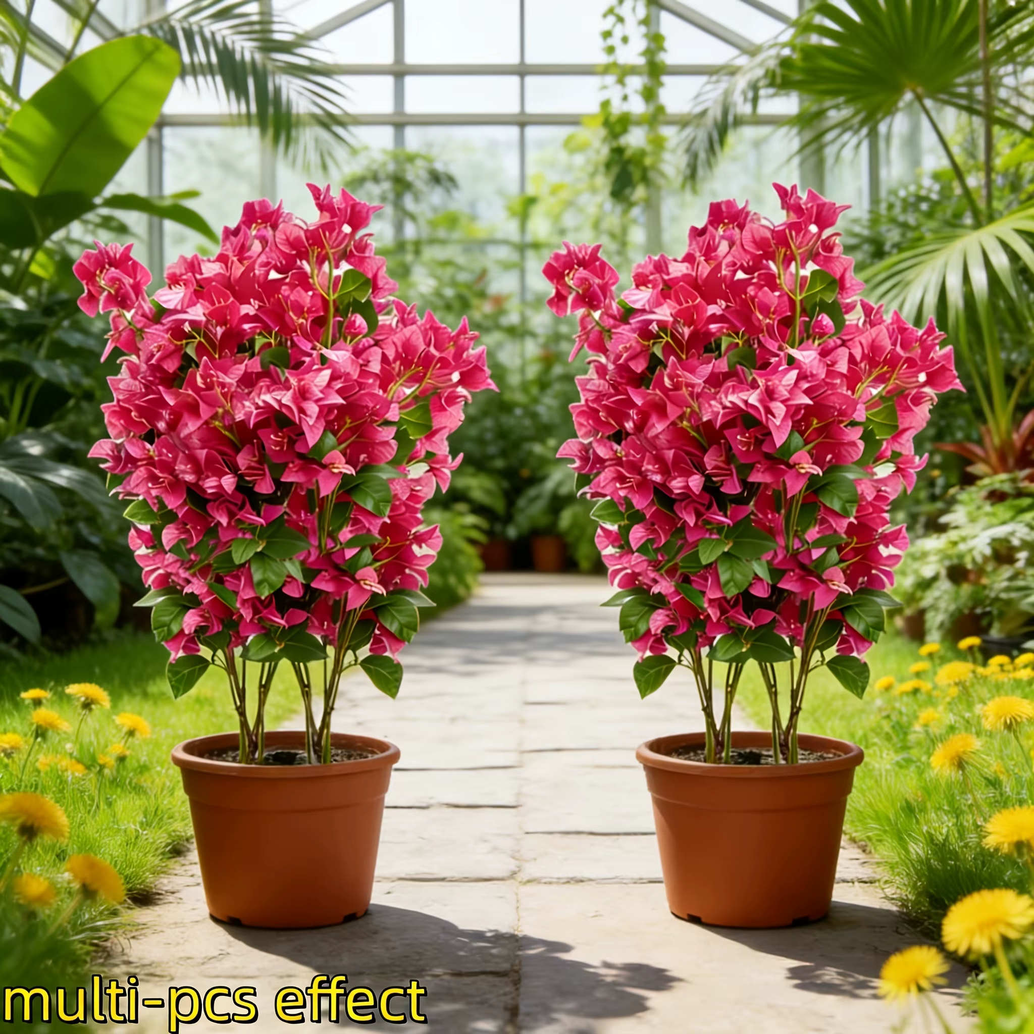 3/12 pièces, 1 pièce = 24 fleurs
