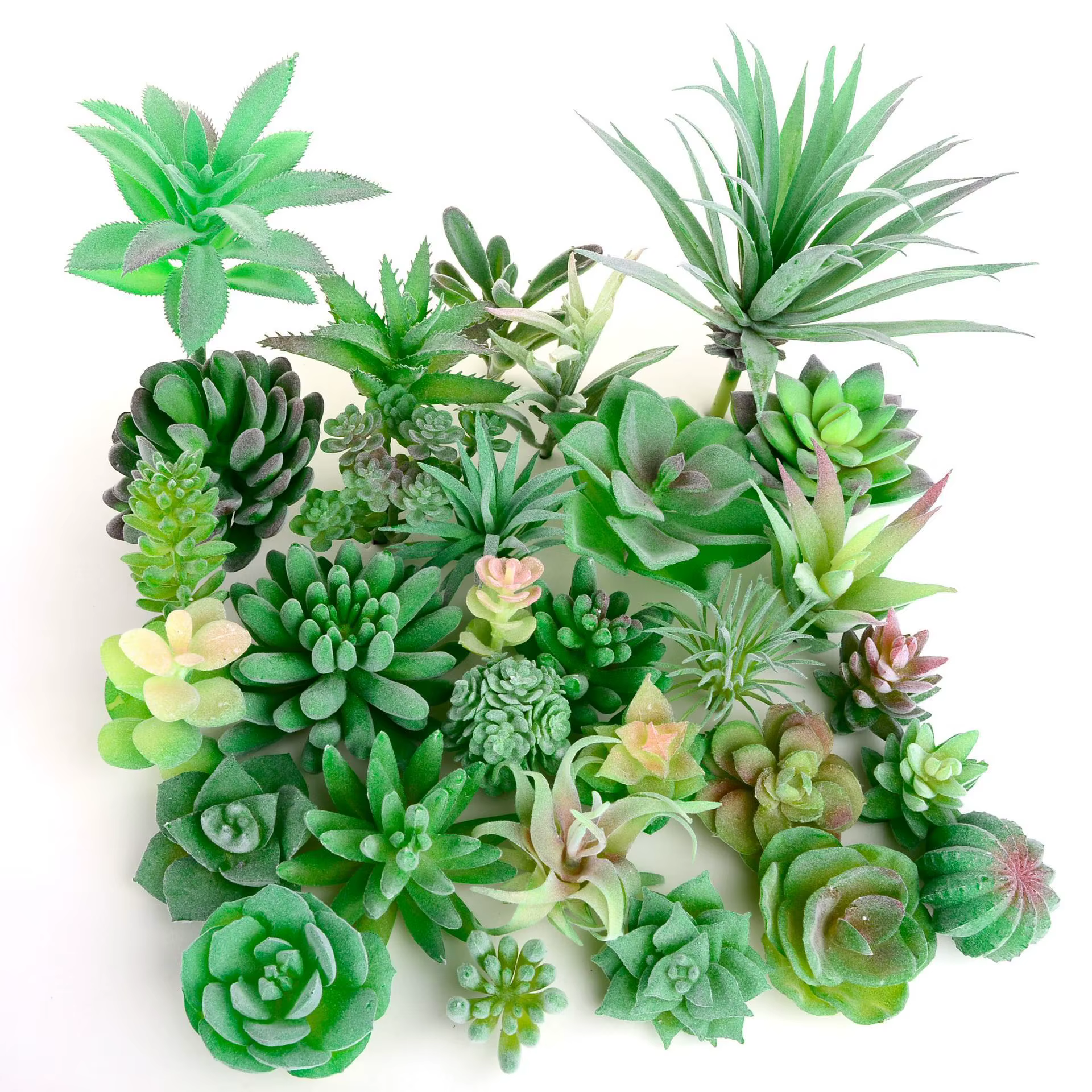 Plantes succulentes artificielles floquées vertes bonsaï, fausses plantes de bureau, décoration de mariage pour la saint-valentin
