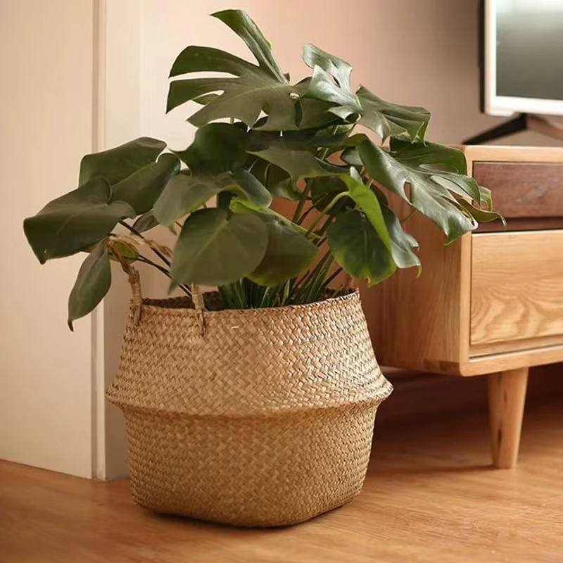 Pot de plantes à fleurs tissées en paille