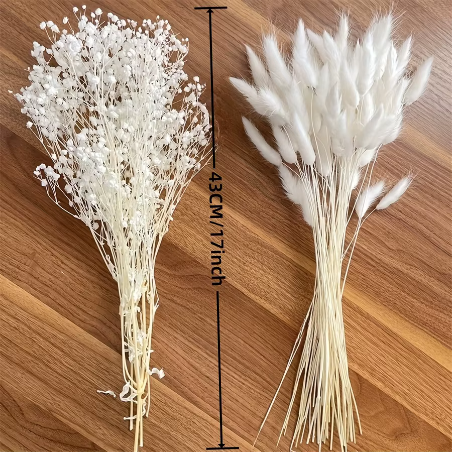 Bouquet de fleurs séchées blanches Gypsophila Boho Pampas