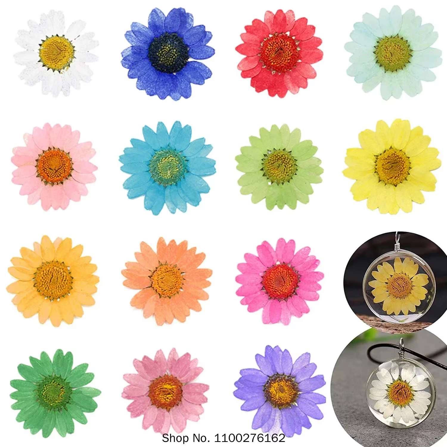 120 pièces de fleurs de marguerite séchées pressées pour la fabrication de pendentifs en résine époxy