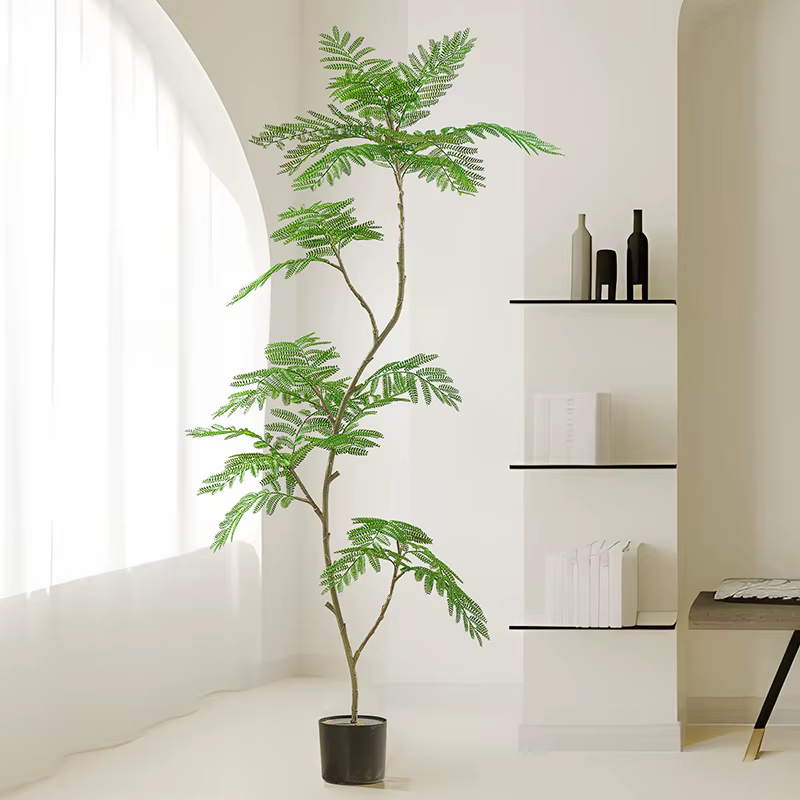Simulation de plante verte Jacaranda