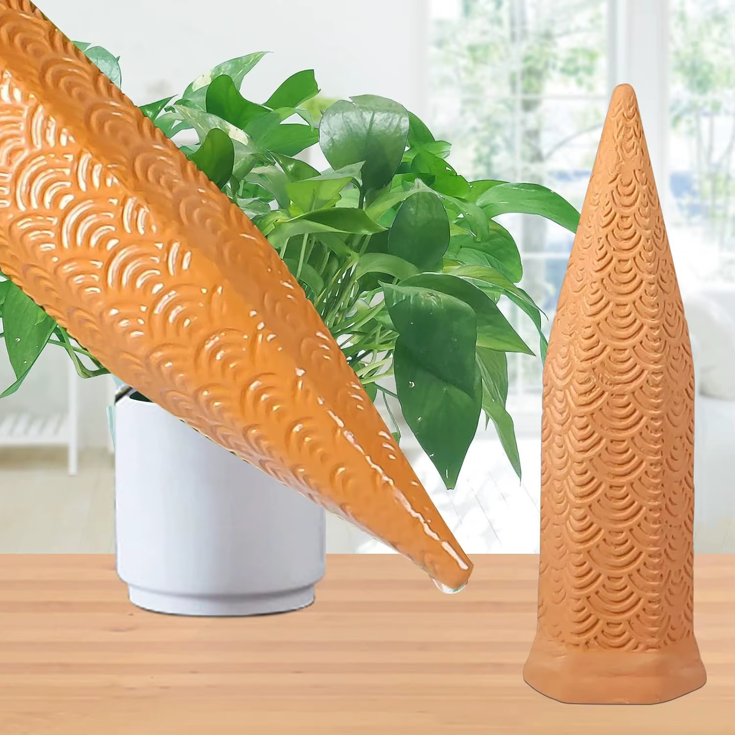 Piques d'arrosage pour plantes d'intérieur et d'extérieur