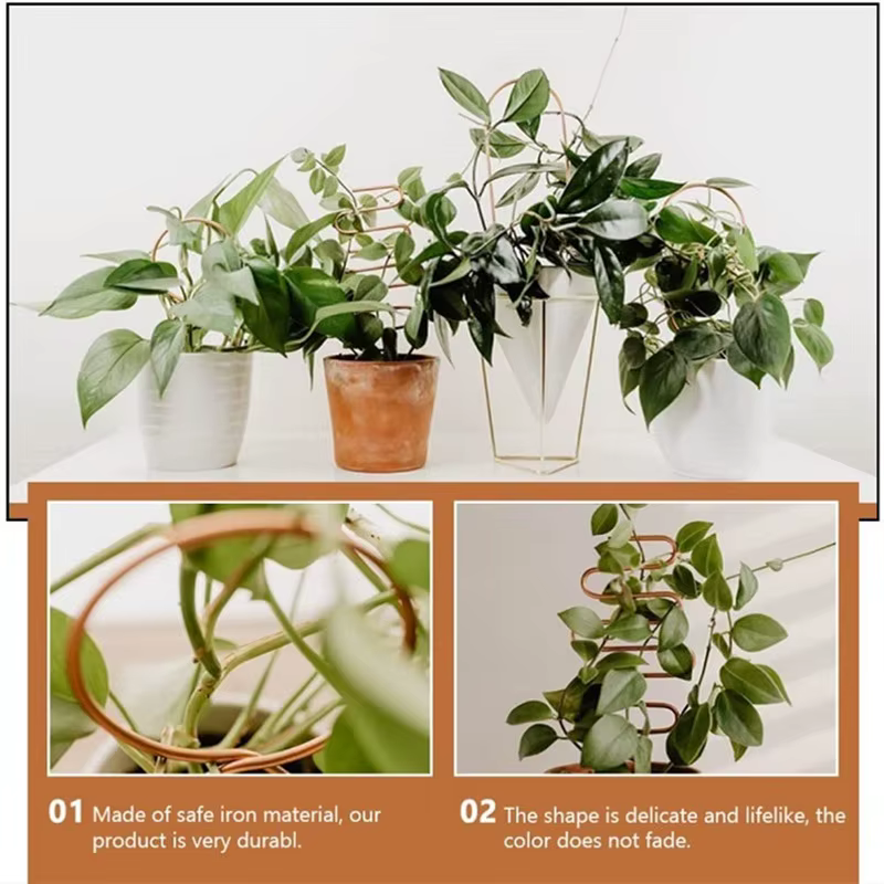 Support d'escalade pour plantes