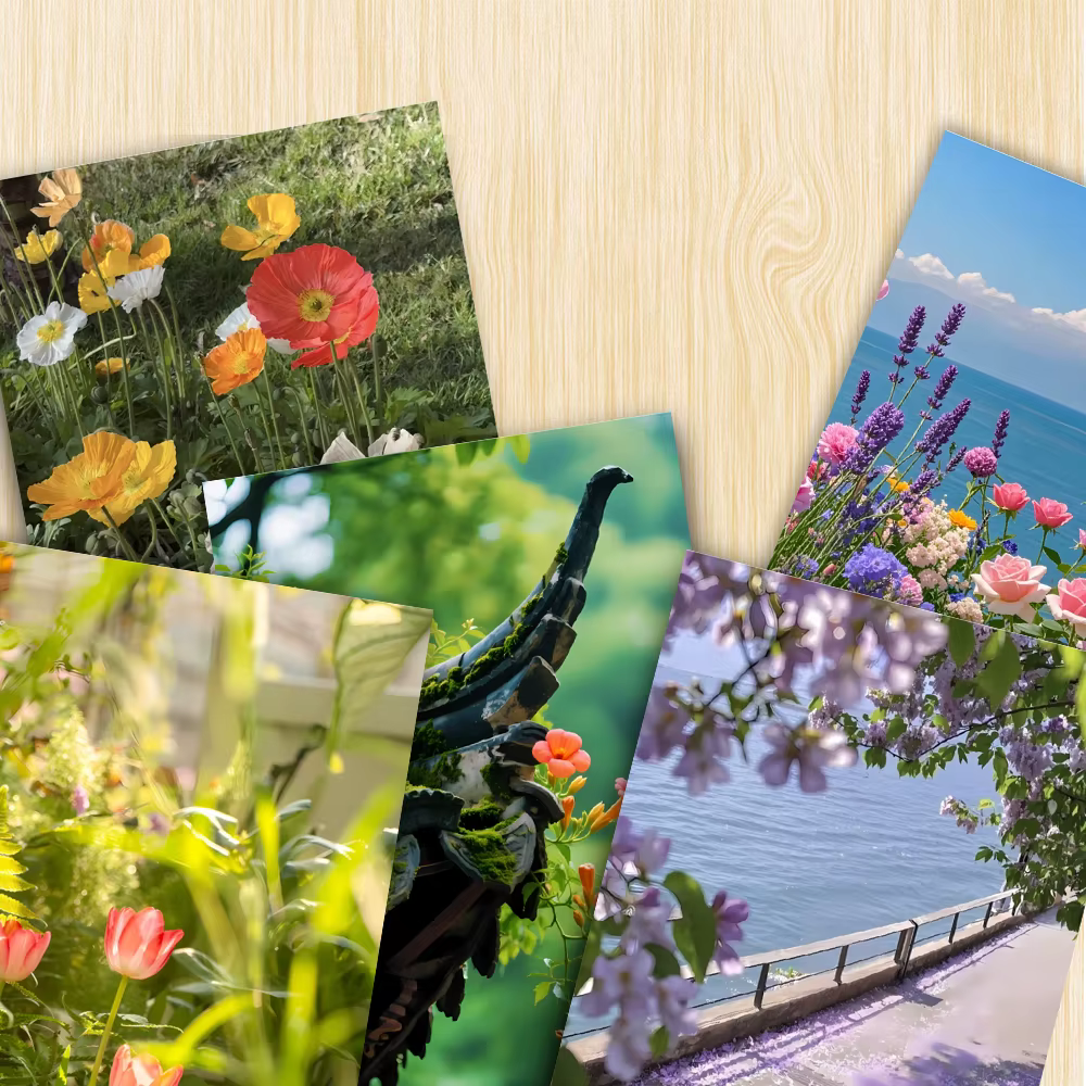 Série de cartes postales de plantes de guérison