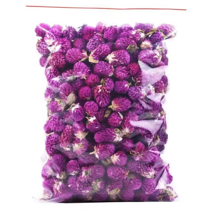 Fleurs d'amarante globe séchées naturelles de qualité supérieure pour la décoration de la maison et du jardin